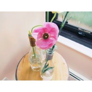 Meet your Posher, Keshia